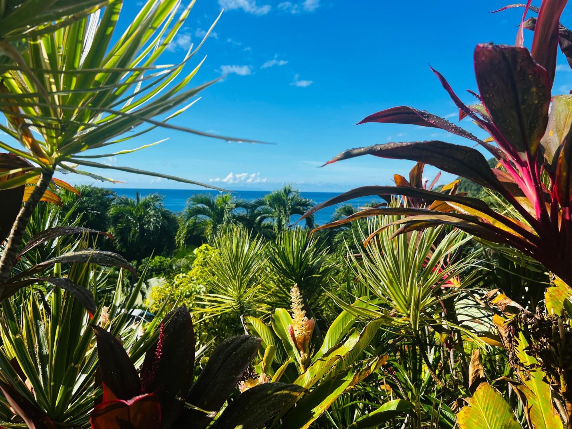 Vue Mer/3Beds/Piscine/Wifi/900 Metres De La Plage Десе Екстер'єр фото